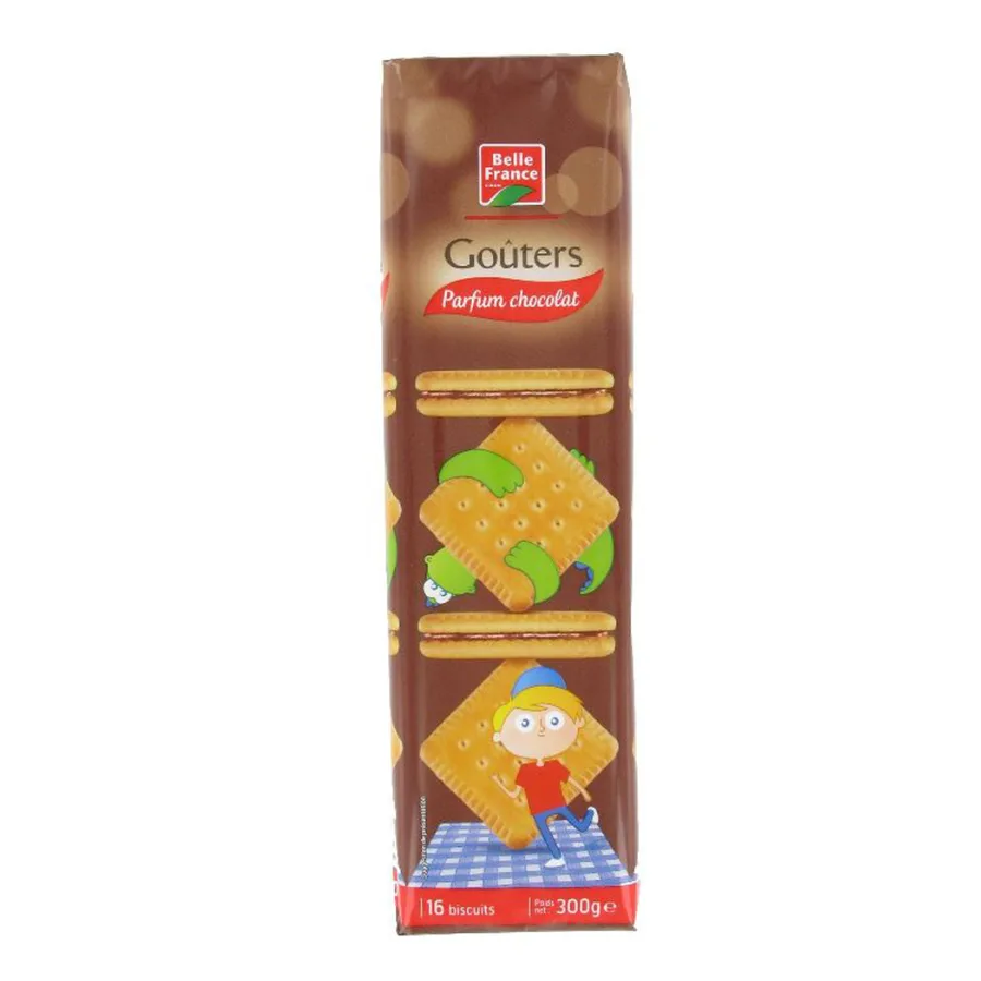 GOUTER CARRE PARFUM CHOCOLAT X 16 BF FILM 300 G